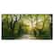 Designart - Evening in Green Forest - Landscape Canvas Art Print